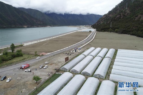 西藏林芝：川藏公路旁的“甜蜜”產業
