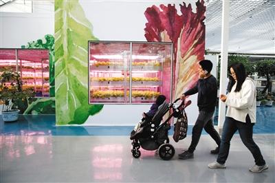 北京世園會開園19天迎客破百萬 提前購票享九折優惠