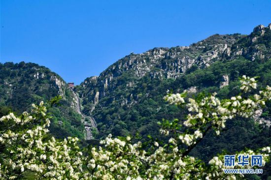 東岳泰山美如畫