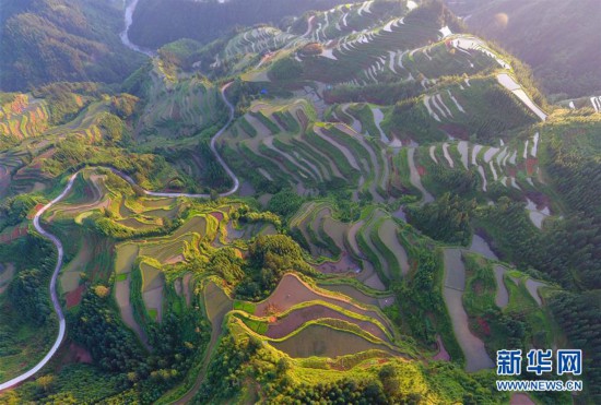（美麗中國）（1）廣西融水：夏日梯田