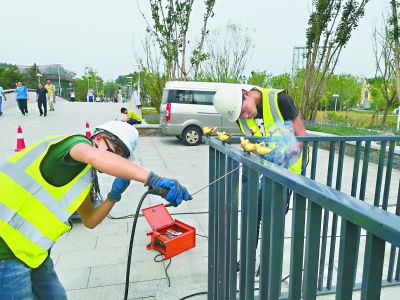 世園會小金鳥又“飛”回來了