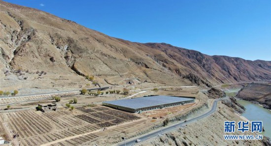 北京平谷桃花雪域高原綻放記