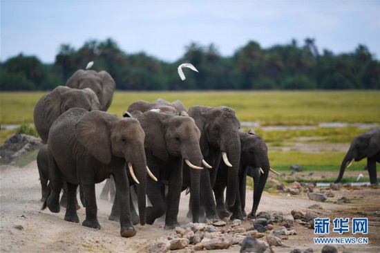 安博塞利國家公園掠影