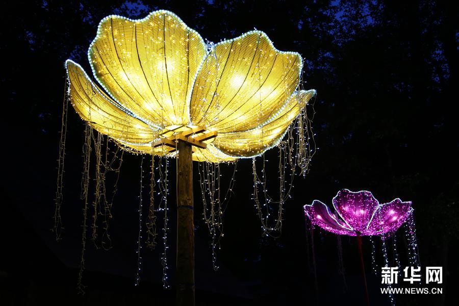 （國(guó)際）（1）自貢彩燈閃耀羅馬尼亞錫比烏國(guó)際戲劇節(jié)