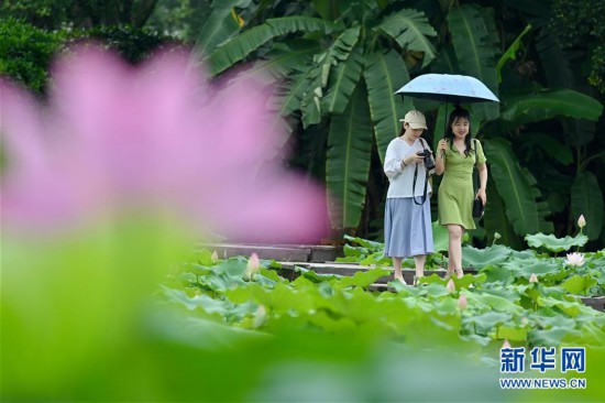 （環境）（4）福州：賞荷正當時