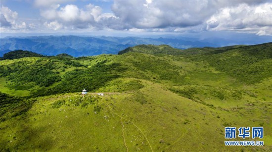 紫柏天坦顯奇觀