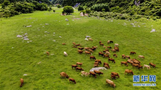 （美麗中國）（3）紫柏天坦顯奇觀