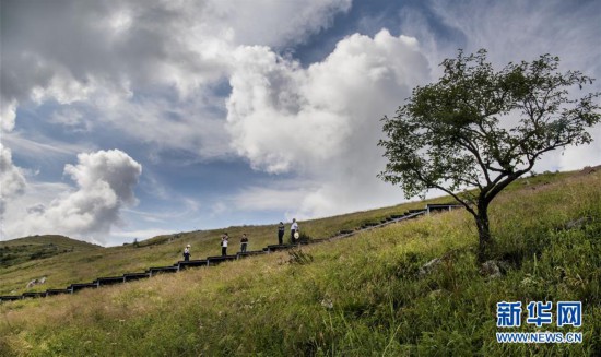 （美麗中國）（4）紫柏天坦顯奇觀