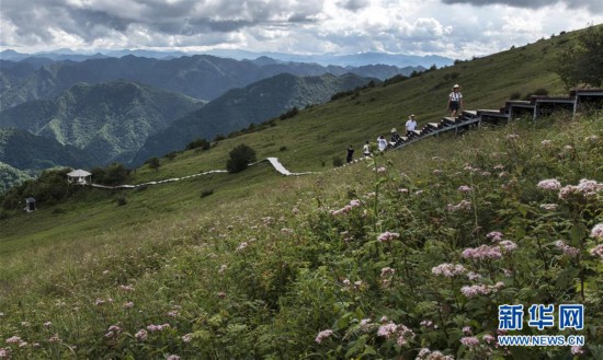 （美麗中國）（1）紫柏天坦顯奇觀