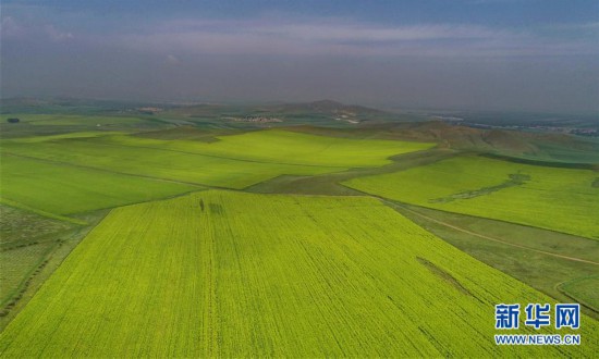 河北張家口：塞北夏日好風光