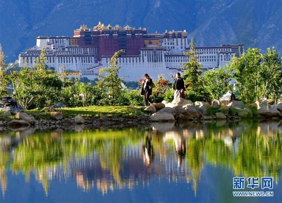 夏日拉薩綠意盎然