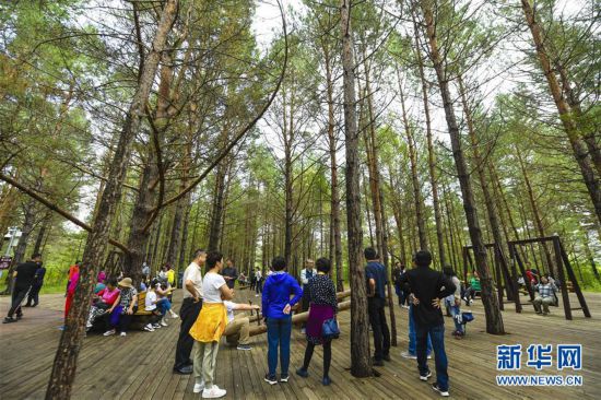 夏季漠河來避暑