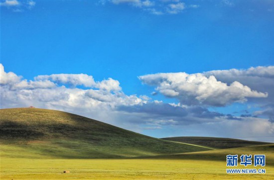 （環境）（1）嘉塘草原的神秘“萌物”