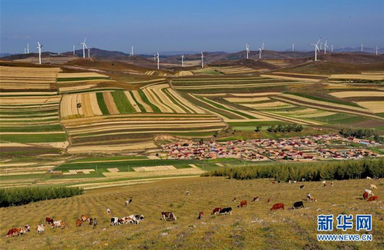 （社會）（2）壩上秋色美如畫
