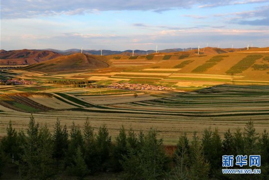 （社會）（1）壩上秋色美如畫