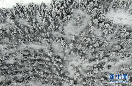 （環境）（3）雪后豫西 銀裝素裹