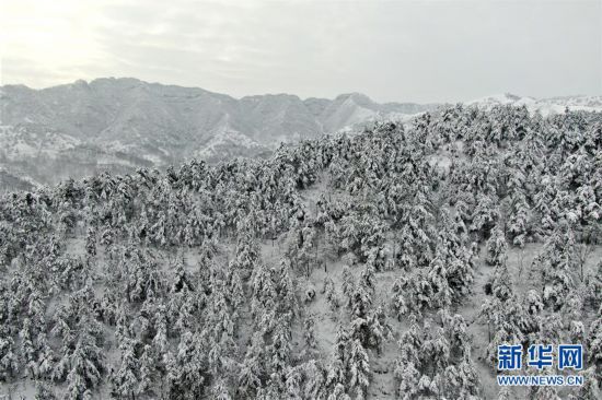 （環(huán)境）（2）雪后豫西 銀裝素裹