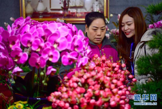 （新春走基層）（3）備年貨 迎新春