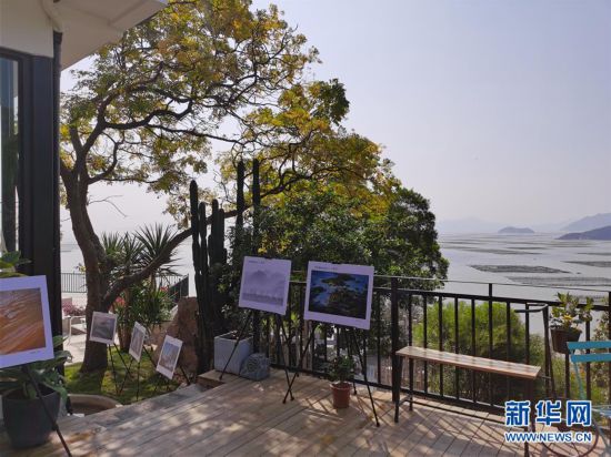 一個小漁村如何變成“網紅”打卡點?