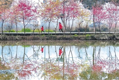 疫情倒逼求新求變 中國旅游迎難而上尋生機