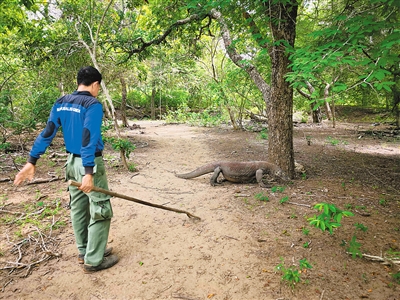 保持與荒野的距離（看·世界遺產）