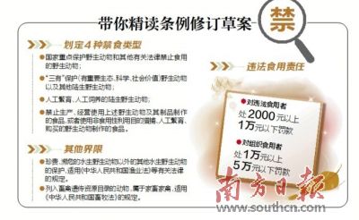 違法食用野生動物個人 最高擬罰1萬元