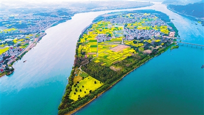 姹紫嫣紅桐洲島