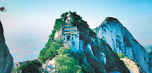 賀蘭山下春風起（行天下）