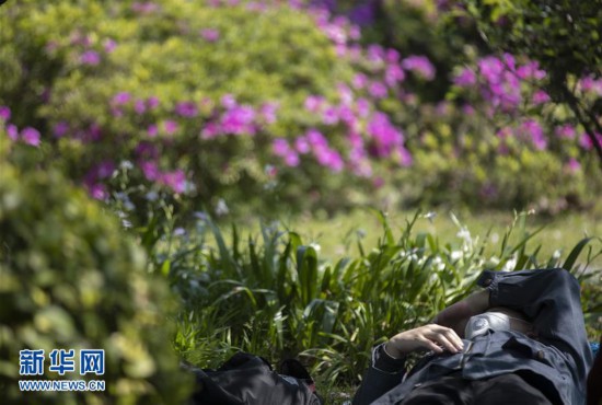 （聚焦疫情防控）（1）武漢：江灘春日