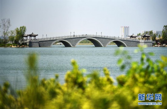 （環境）（1）濟南：華山濕地春吹綠