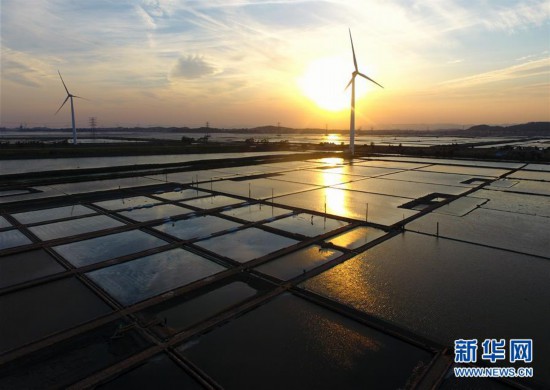 （社會）（1）福建莆田：鹽場如畫