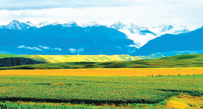 新疆尼勒克 :出門即景 行走是游