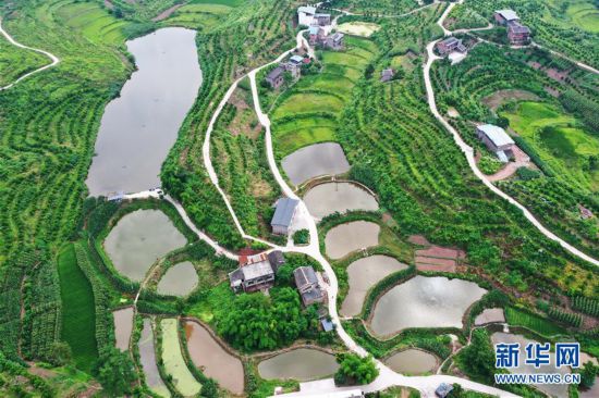 重慶:夏日山鄉美