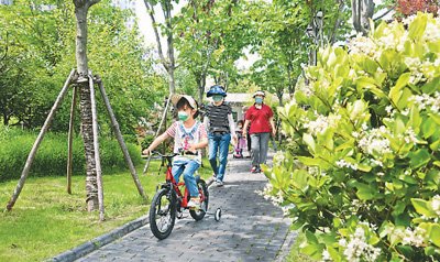 “口袋公園”,出門見綠