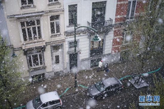 比利時布魯塞爾迎春雪