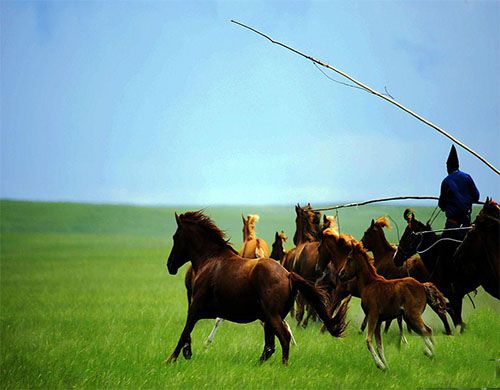 去呼倫貝爾草原旅游哪個季節(jié)最好？