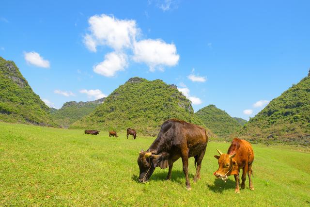 廣西南寧的寶藏小眾地，一年四季景色各異，但4月份這個(gè)季節(jié)最美