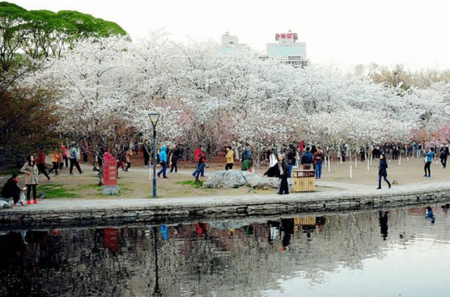 北京聽(tīng)風(fēng)賞景的好地方——玉淵潭公園