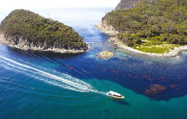 絕美海水瀑布！20億年原始森林...澳洲竟然還藏著這些仙境