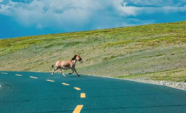 五月旅行地推薦！這3個地方或驚艷或安逸，有些周末就能去