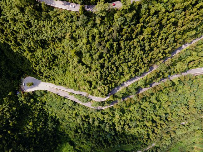 紹興的夏天，藏不住了！